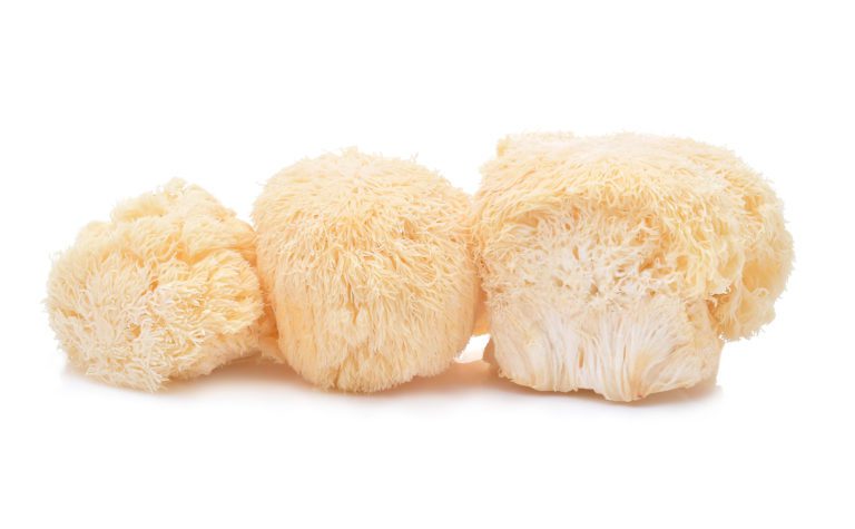 cbd and lion's mane mushroom