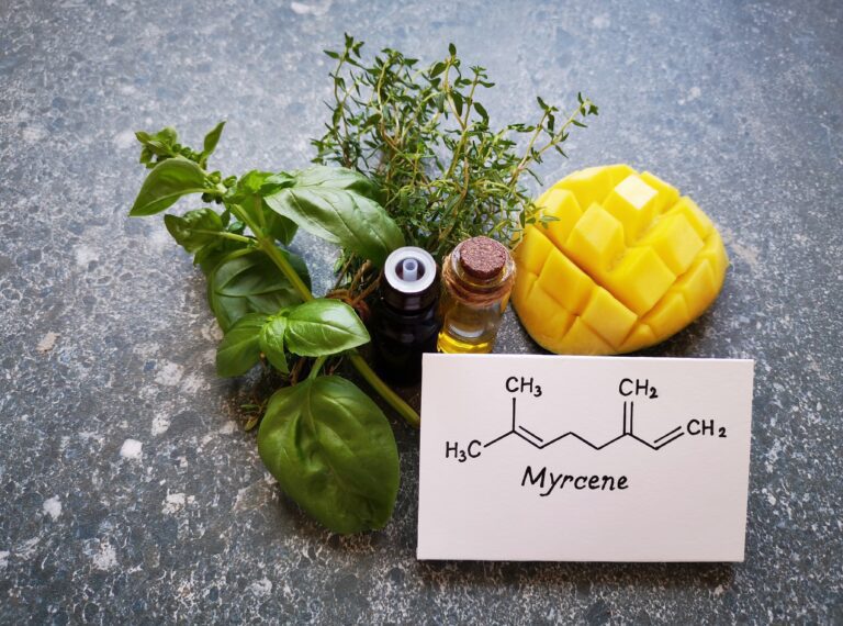 Myrcene CBD Terpene