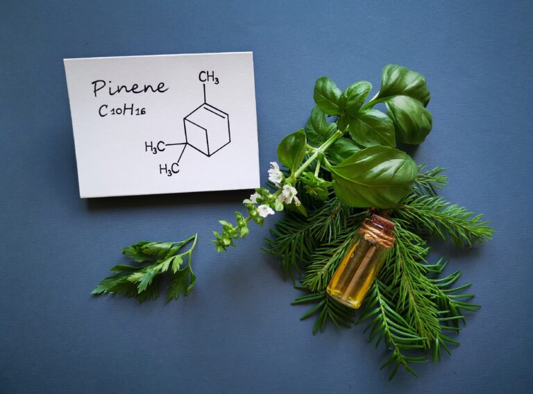 pinene CBD Terpene