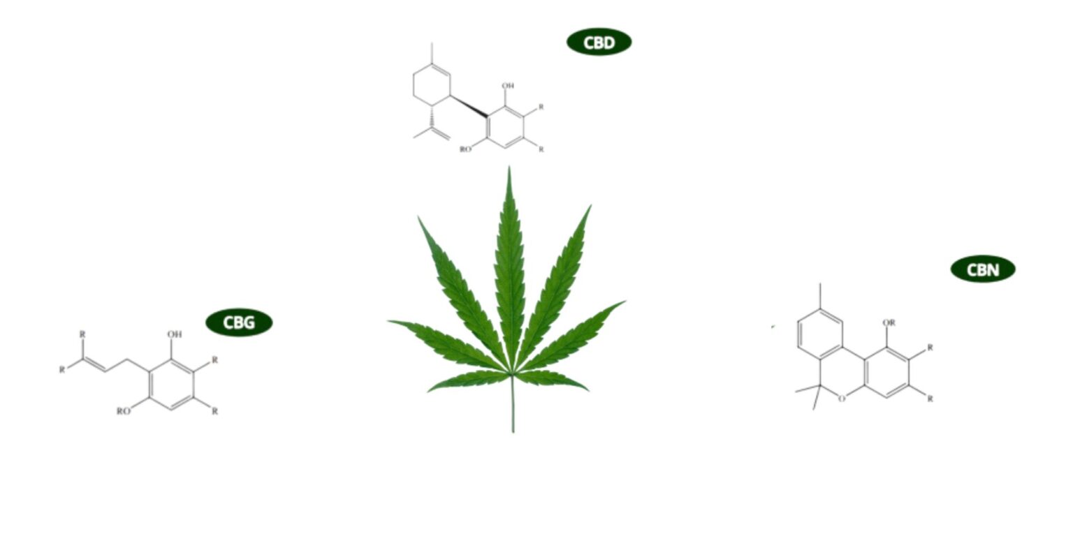 what are cannabinoids