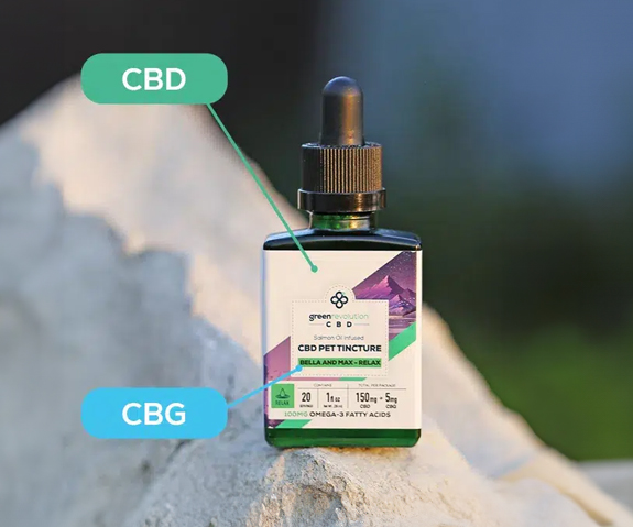 cbd tincture for cats